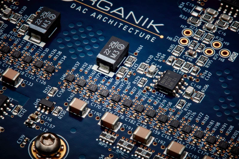 🔊 Linn Mono Organik DAC | Módulo DAC Mono (se vende en par) para Selekt DSM en configuración Dual Mono | JMI Audio