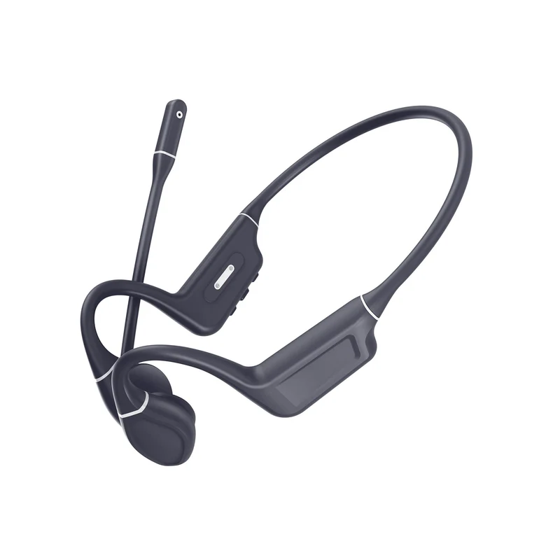 Bone Dual Mic