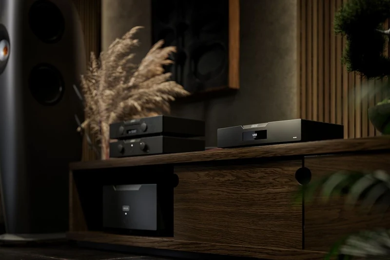 Hegel D50 | DAC Balanceado de Referencia con USB, Coaxial y Óptico | Sonido Preciso y Natural | JMI Audio