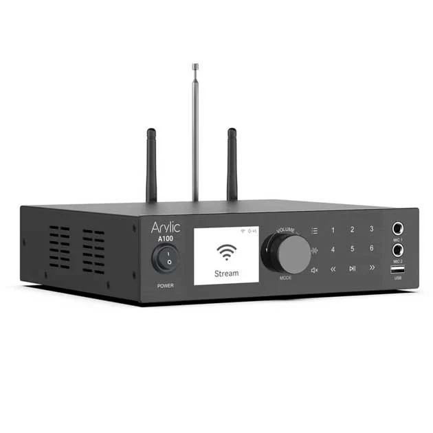 Arylic A100