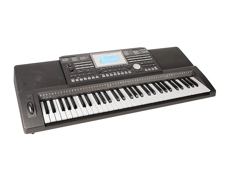 MEDELI A810 TECLADO PORTATIL 61 TECLAS