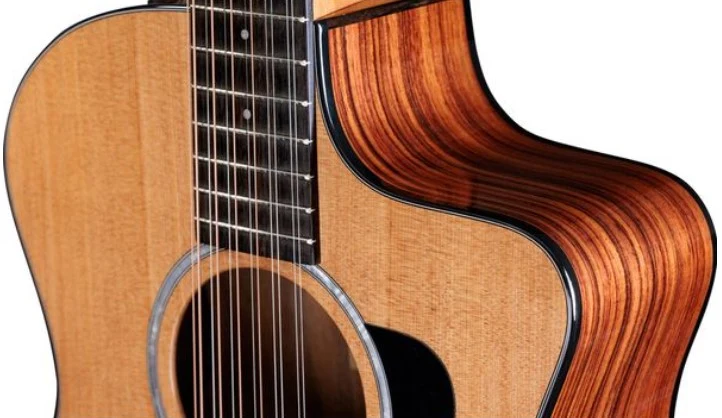 TAYLOR 254CE PLUS GUITARRA ELECTROACUSTICA 12 CUERDAS GRAN AUDITORIO