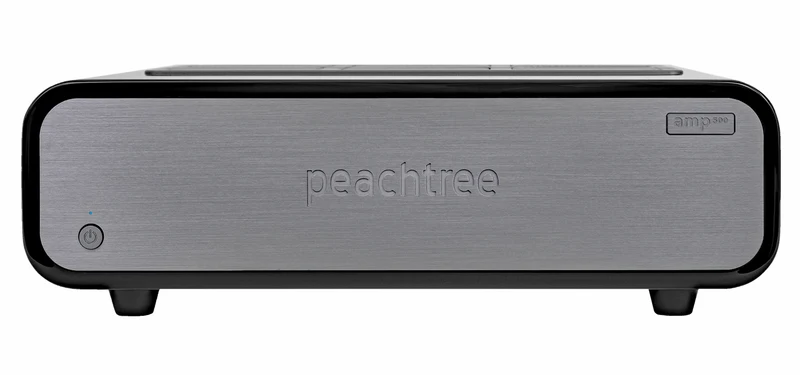 Peachtree Amp 500 amplificador de poder