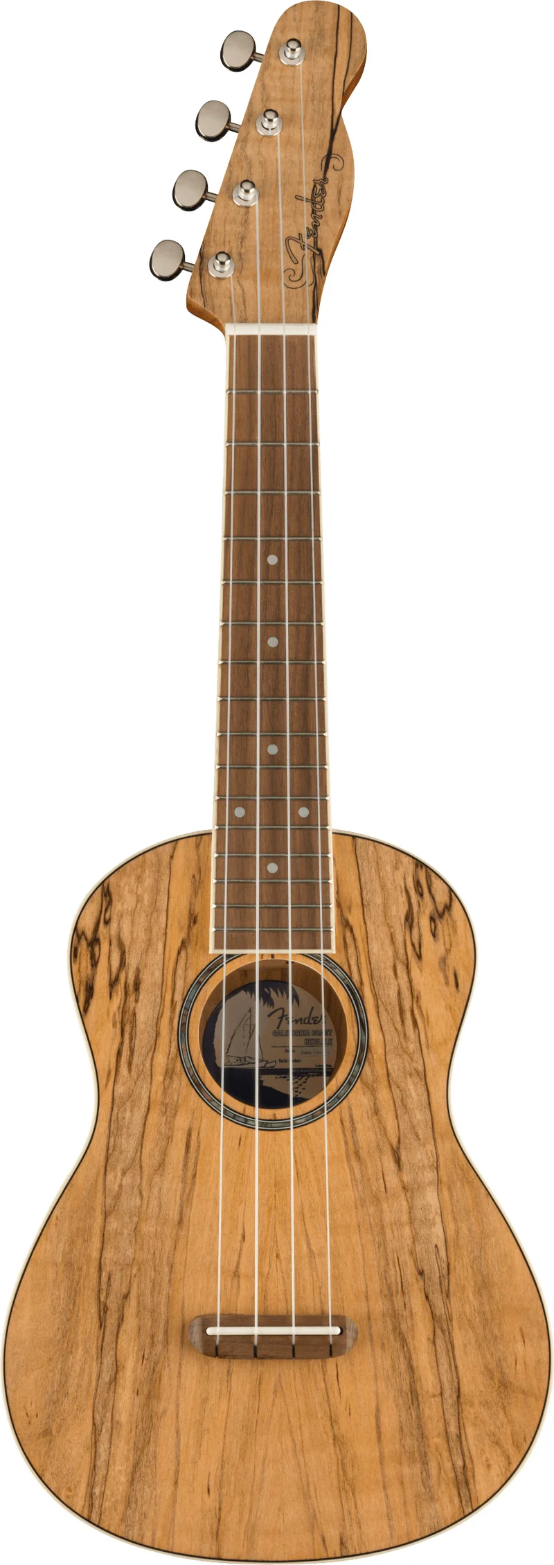 FENDER ZUMA EXOTIC UKELELE CONCIERTO SPALTED MAPLE