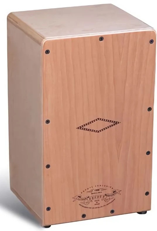PEPOTE PEPILLO 2 A 5 AÑOS CAJON RUMBERO INFANTIL