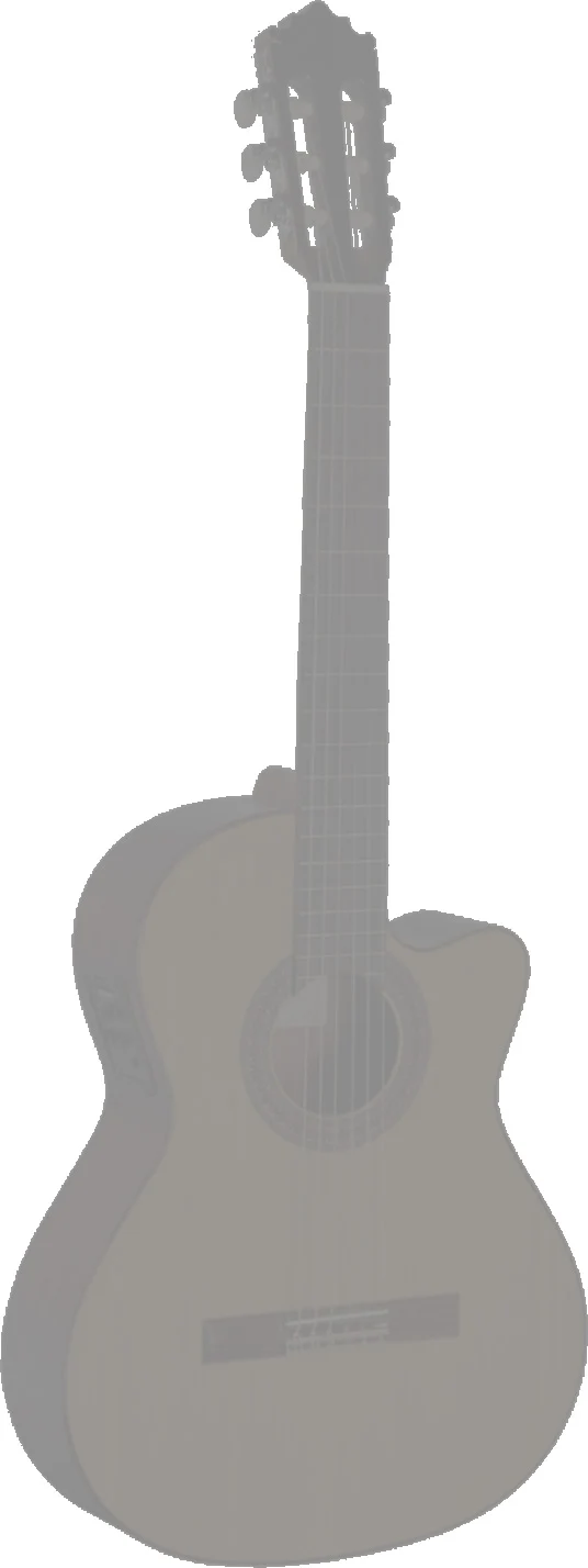 ARANJUEZ 220CE GUITARRA ESPAÑOLA ELECTRIFICADA