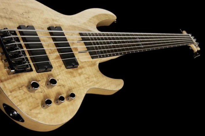 ESP LTD B206SM NS BAJO ELECTRICO 6 CUERDAS NATURAL SATIN