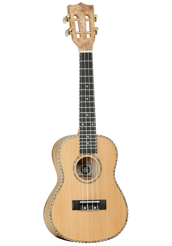 TANGLEWOOD TWT11 UKELELE CONCIERTO
